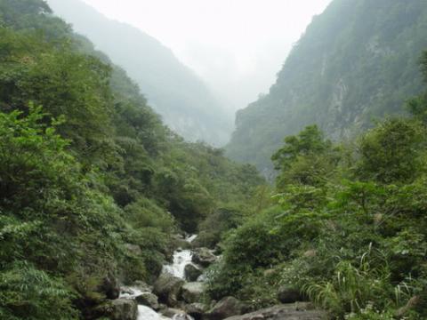 [阿坝]卧龙自然保护区