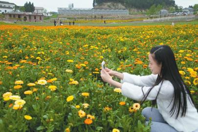 中国西充有机生活公园旅游攻略